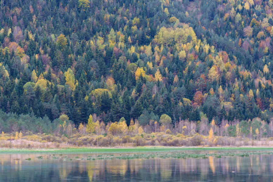 Huesca - valle de Pineta 08 - embalse de Pineta.jpg